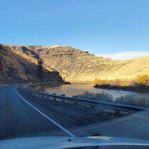 Meet your Posher, Kelsie